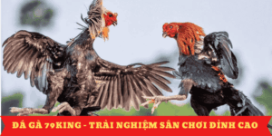 da-ga-79king-trai-nghiem-san-choi-uy-tin