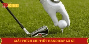handicap-la-gi-giai-thich-chi-tiet