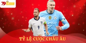 ty-le-cuoc-chau-au